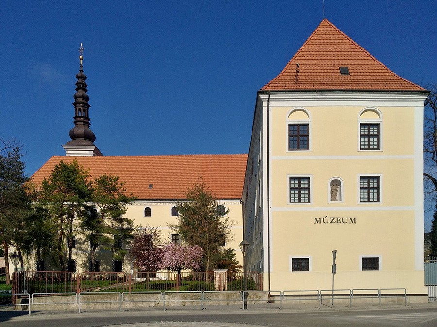 Západoslovenské múzeum
