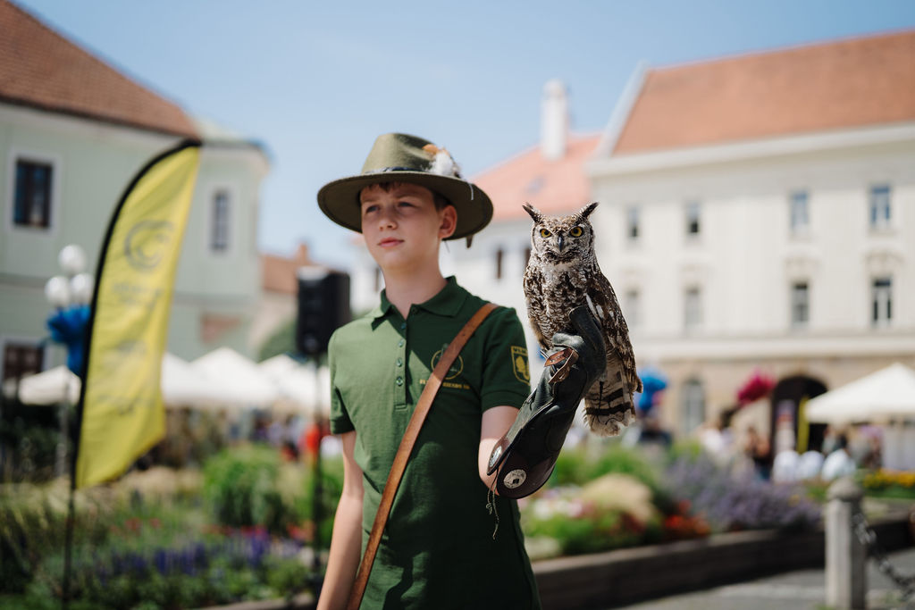 Festival Učiaca sa Trnava